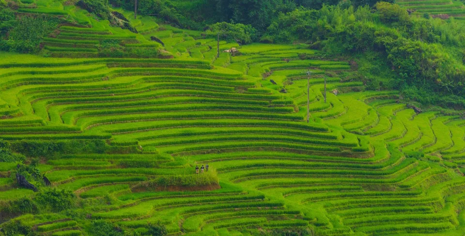 Kho gạo của Nguyễn Long